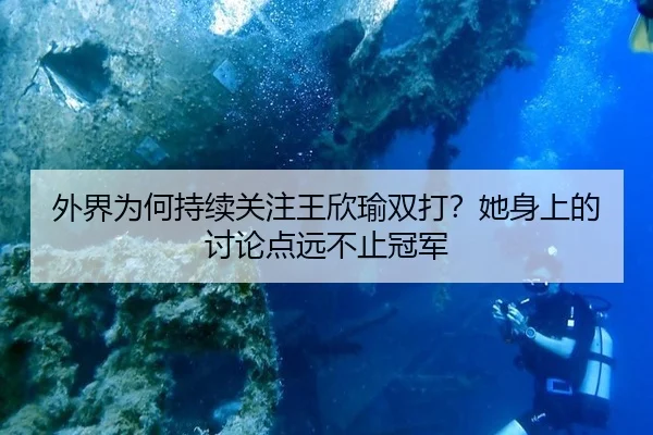 wai-jie-wei-he-chi-xu-guan-zhu-wang-xin-yu-shuang-da-ta-shen-shang-de-tao-lun-dian-yuan-bu-zhi-guan-jun-2-130.jpg